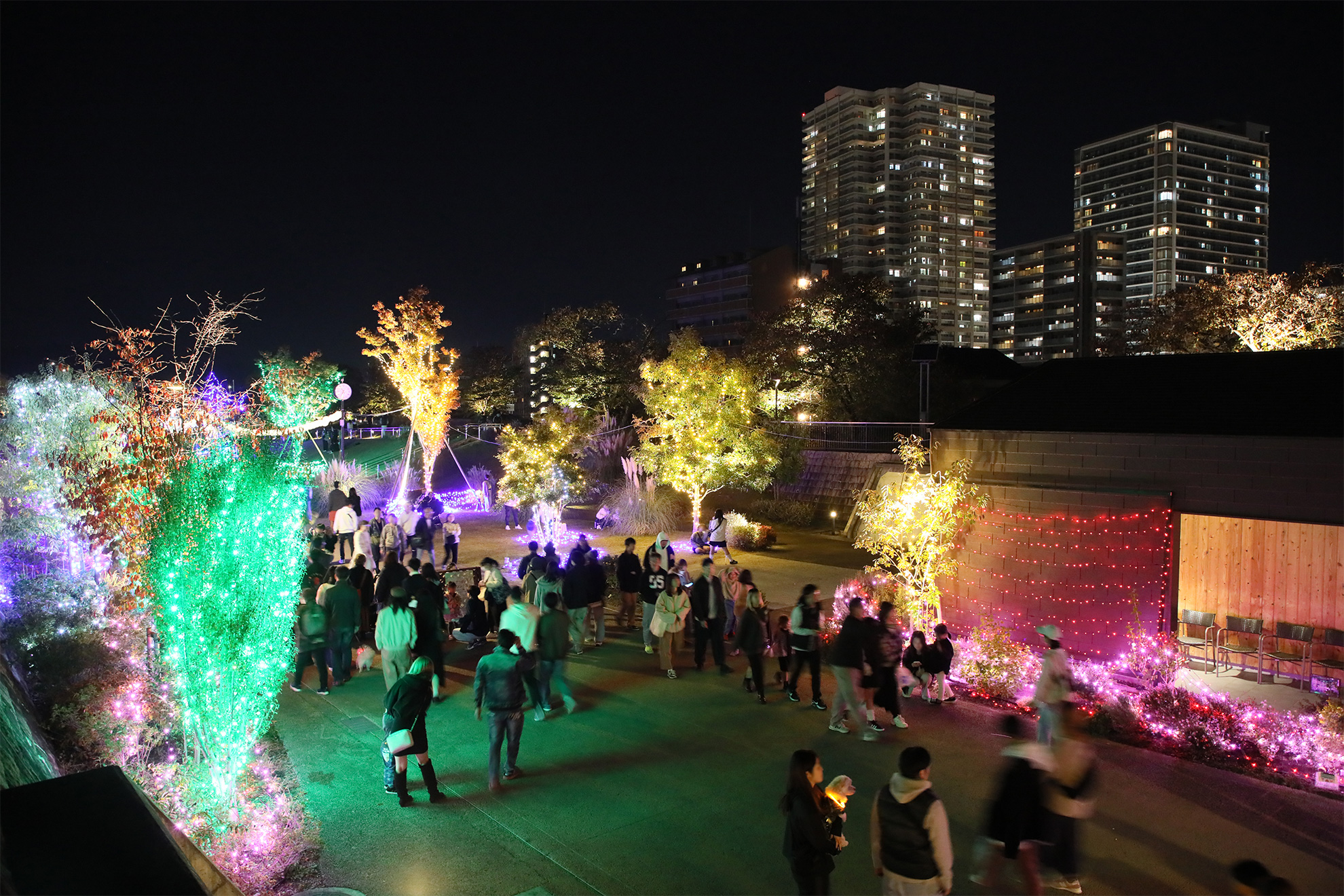 くさつ華あかりフェスタ風景２