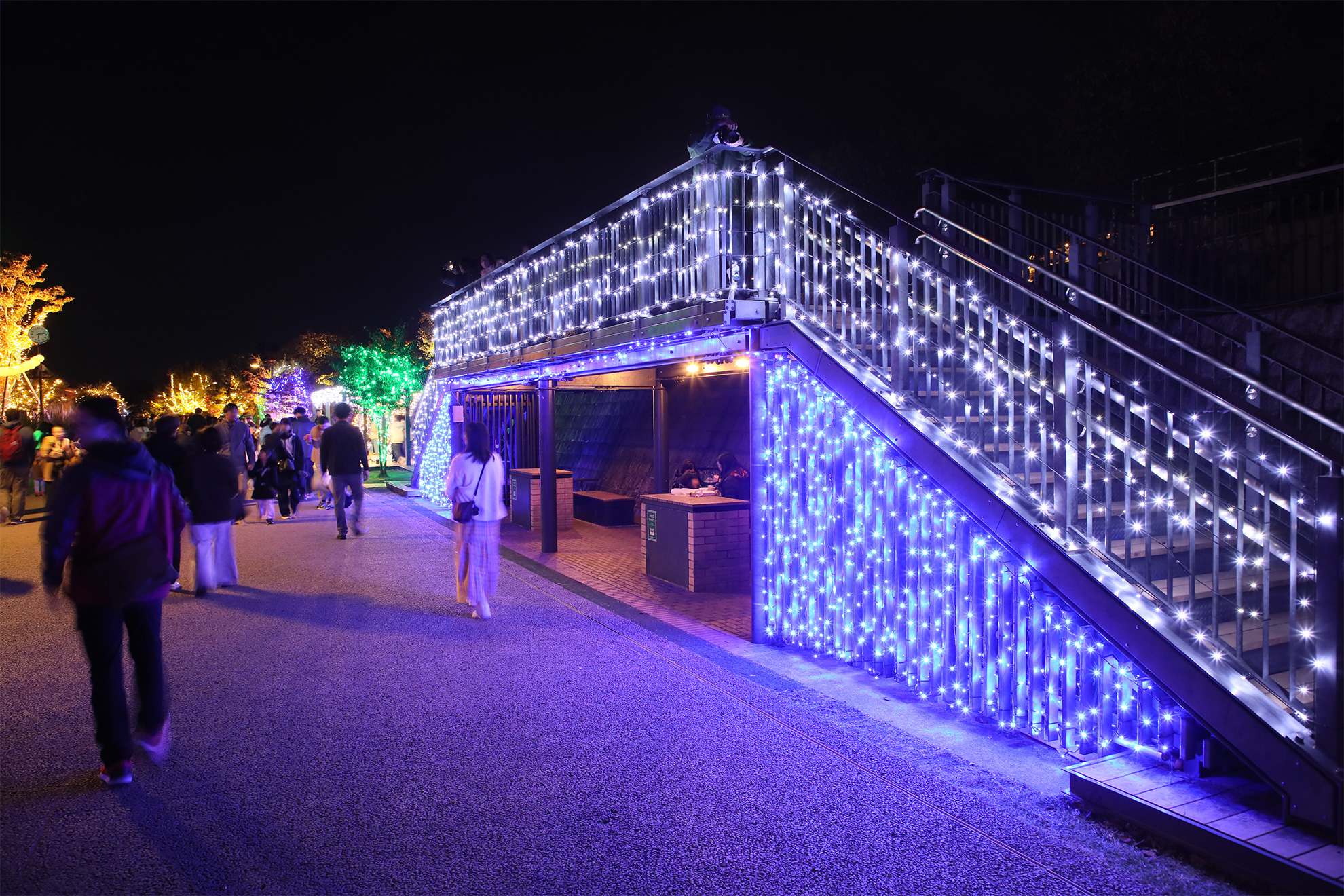 くさつ華あかりフェスタ風景４